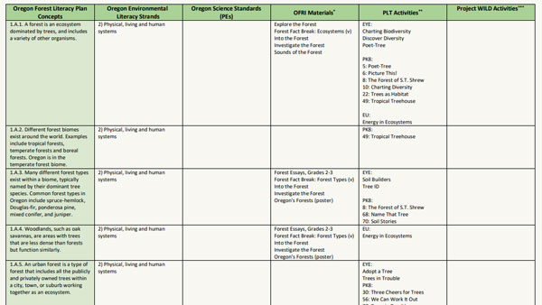 A spreadsheet