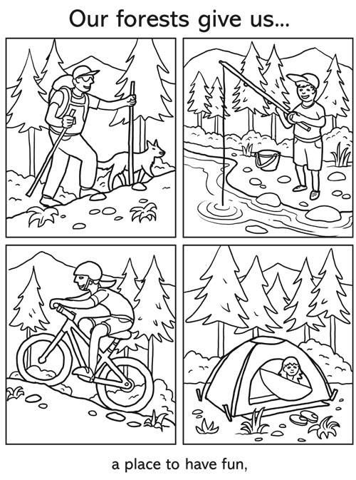 Forest activity sheet cover