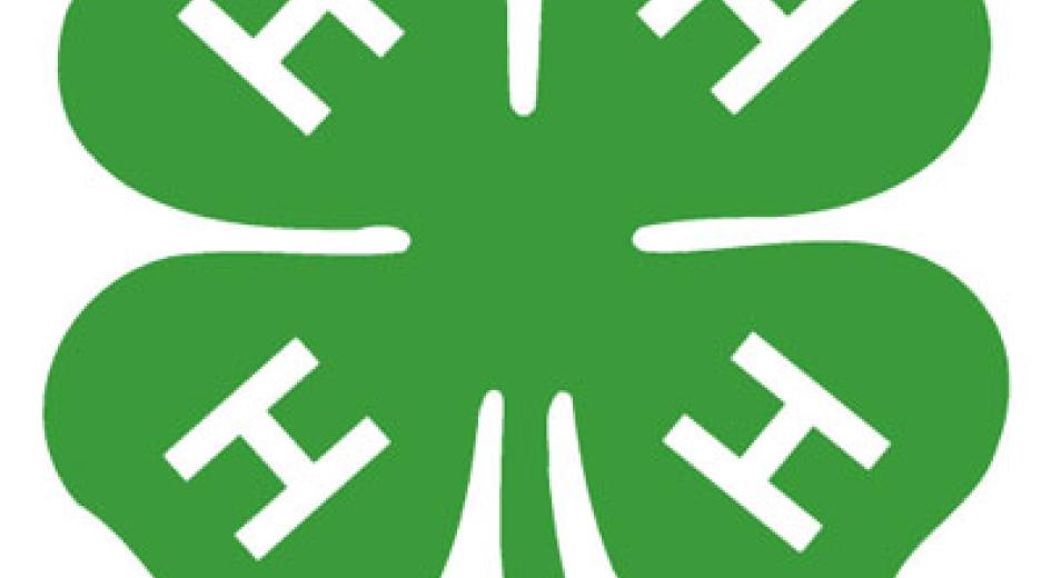logo for 4 h