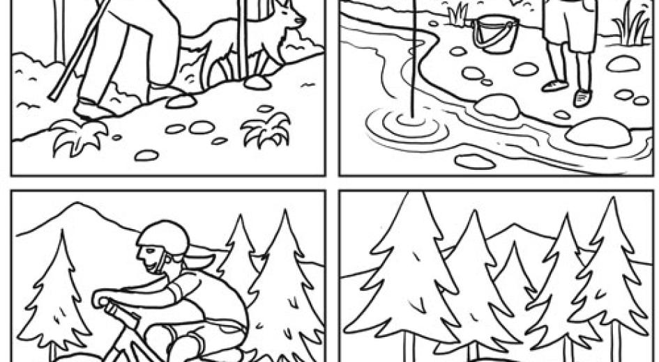 Forest activity sheet cover